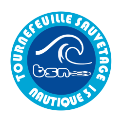 Logo TSN